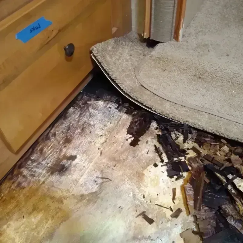 Best Wood Floor Water Damage Service in Herrin, IL